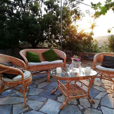 شقة Riglia  في Theasea House With Garden المظهر الخارجي الصورة