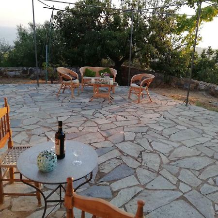 شقة Riglia  في Theasea House With Garden المظهر الخارجي الصورة